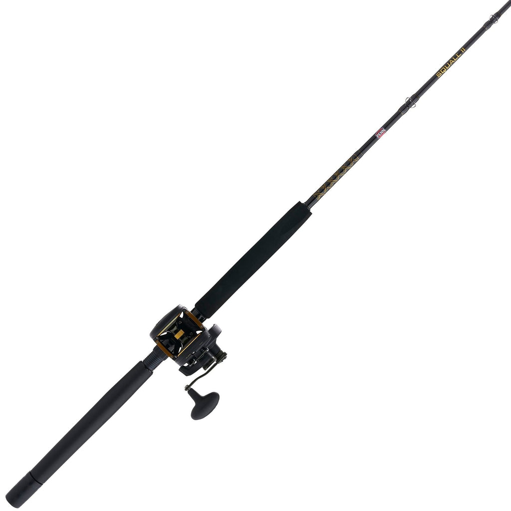 PENN Squall® II Lever Drag Conventional Rod & Reel Combo